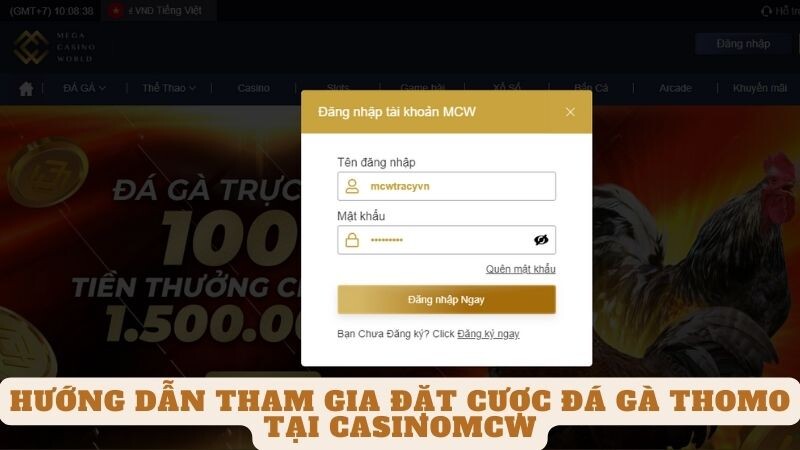 Hướng dẫn tham gia đặt cược đá gà thomo tại casinomcw